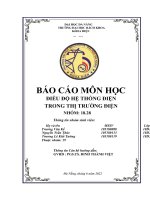 (TIỂU LUẬN) báo cáo môn học điều độ hệ THỐNG điện TRONG THỊ TRƯỜNG điện 