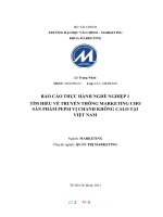 (TIỂU LUẬN) báo cáo THỰC HÀNH NGHỀ NGHIỆP 1 tìm HIỂU về TRUYỀN THÔNG MARKETING CHO sản PHẨM PEPSI vị CHANH KHÔNG CALO tại VIỆT NAM 