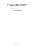 (TIỂU LUẬN) PHÂN TÍCH CHIẾN lược MARKETING – MIX của CÔNG TY TNHH NHÀ máy BIA HEINEKEN VIỆT NAM 