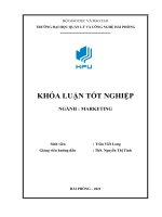 Khóa luận giải pháp nhằm hoàn thiện công tác marketing tại công ty TNHH thanh tú 
