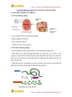 ly thuyet sinh hoc lop 8 bai 25 