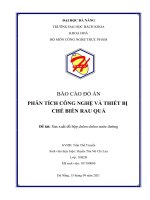 (TIỂU LUẬN) báo cáo đồ án PHÂN TÍCH CÔNG NGHỆ và THIẾT bị CHẾ BIẾN RAU QUẢ 