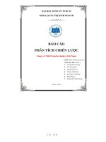 (TIỂU LUẬN) báo cáo PHÂN TÍCH CHIẾN lược công ty TNHH propnex realty (việt nam) 