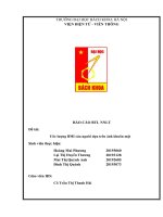 (TIỂU LUẬN) báo cáo BTL NNLT đề tài ước lượng BMI của người dựa trên ảnh khuôn mặt 