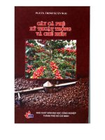 Cây cà phê kỹ thuật trồng và chế biến