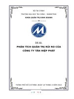 (TIỂU LUẬN) đề tài PHÂN TÍCH QUẢN TRỊ rủi RO của CÔNG TY tân HIỆP PHÁT 