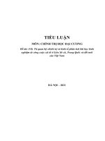 (TIỂU LUẬN) đề tài (10)  từ quan hệ chính trị và kinh tế phân tích bài học kinh nghiệm từ công cuộc cải tổ ở liên xô cũ, trung quốc và đổi mới của việt nam 