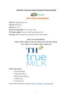 (TIỂU LUẬN) báo cáo ASSIGNMENT  PHÂN TÍCH CHIẾN lược sản PHẨM sữa TH TRUE MILK của CÔNG TY cổ PHẦN THỰC PHẨM TH  