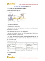 ly thuyet sinh hoc lop 8 bai 6 phan xa 