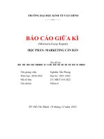 (TIỂU LUẬN) báo cáo giữa kì (mid term essay report) học phần marketing căn bản 