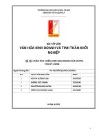 Báo cáo lớn văn hóa kinh doanh và tinh thần khởi nghiệp phân tích chiến lược kinh doanh của viettel 