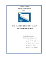 (TIỂU LUẬN) báo cáo đề tài bảo HIỂM tài sản học PHẦN KINH tế bảo HIỂM bảo HIỂM tài sản các KIẾN THỨC và THÔNG TIN cơ bản 