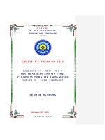 Khóa luận đánh giá các yếu tố ảnh hưởng đến quyết định mua sản phẩm nội thất của công ty TNHH nội thất song nguyễn trên thị trường thừa thiên huế 