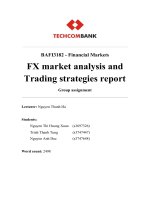 (TIỂU LUẬN) FX market analysis and trading strategies report group assignment 