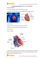 ly thuyet sinh hoc lop 8 bai 17 