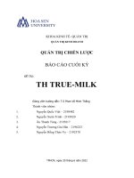 (TIỂU LUẬN) báo cáo CUỐI kỳ QUẢN TRỊ CHIẾN lược đề tài TH TRUE MILK 