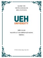 TIỂU LUẬN NGUYÊN lý tài CHÍNH NGÂN HÀNG  khủng hoảng kinh tế do covid 19 tại mỹ 