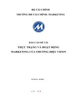 (TIỂU LUẬN) báo cáo đề tài THỰC TRẠNG và HOẠT ĐỘNG MARKETING của THƯƠNG HIỆU VIFON 