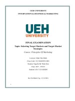 (TIỂU LUẬN) final examination topic selecting target markets and target market strategies 