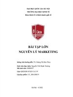 BÀI tập lớn lập kế HOẠCH MARKETING MIX CHO ví điện tử MOMO 