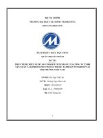 (TIỂU LUẬN) PHÂN TÍCH CHIẾN lược sản PHẨM ô tô VINFAST của CÔNG TY TNHH sản XUẤT và KINH DOANH VINFAST THUỘC tập đoàn VINGROUP tại THỊ TRƯỜNG VIỆT NAM 