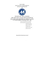 (TIỂU LUẬN) đề tài PHÂN TÍCH TÌNH HÌNH tài CHÍNH của CÔNG TY cổ PHẦN BIBICA GIAI đoạn 2019 – 2021 