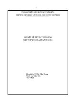 CHUYÊN đề TIẾT dạy SÁNG tạo 2021