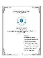 (TIỂU LUẬN) đề tài PHÂN TÍCH THỊ TRƯỜNG về CÔNG TY ACECOOK 