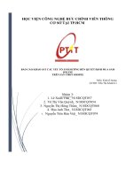 (TIỂU LUẬN) báo cáo KHẢO sát các yếu tố ẢNH HƯỞNG đến QUYẾT ĐỊNH MUA sắm ONLINE TRÊN sàn TMĐT SHOPEE 