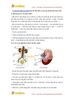 ly thuyet sinh hoc lop 8 bai 38 