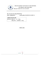 (TIỂU LUẬN) FINAL ESSAY NIKE, INC  course marketing management 