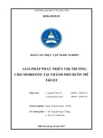 Báo cáo thực tập nghề nghiệp giải pháp phát triển thị trường cho mobifone tại thành phố buôn mê thuột 