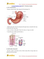 ly thuyet sinh hoc lop 8 bai 27 