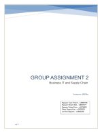 (TIỂU LUẬN) GROUP ASSIGNMENT 2 business IT and supply chain 