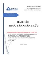 (TIỂU LUẬN) báo cáo THỰC tập NHẬN THỨC nội DUNG CÔNG VIỆC THỰC tập 