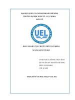 (TIỂU LUẬN) báo cáo KIẾN tập CHUYÊN môn CUỐI KHÓA NGÀNH KINH tế học CÔNG TY TNHH MTV SX TMXNK TRUNG HIẾU 