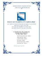 (TIỂU LUẬN) các NHÂN tố ẢNH HƯỞNG đến dự ĐỊNH ở lại THÀNH PHỐ HAY về QUÊ làm VIỆC SAU KHI tốt NGHIỆP của SINH VIÊN đại học KINH tế   đại học đà NẴNG 
