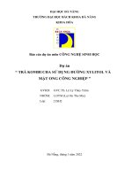 (TIỂU LUẬN) báo cáo dự án môn CÔNG NGHỆ SINH học dự án  TRÀ KOMBUCHA sử DỤNG ĐƯỜNG XYLITOL và mật ONG CÔNG NGHIỆP 