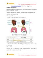 ly thuyet sinh hoc lop 8 bai 21 