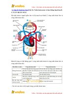 ly thuyet sinh hoc lop 8 bai 16 