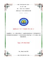 Khóa luận nghiên cứu sự hài lòng của khách hàng đối với dịch vụ internet banking của ngân hàng TMCP quốc tế (VIB) việt nam – chi nhánh huế 