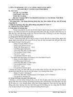 Sáng kiến kinh nghiệm, SKKN Vận dụng phương pháp dạy học theo nhóm để dạy chủ đề thang sóng điện từ