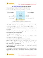 ly thuyet sinh hoc lop 8 bai 31 