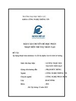 (TIỂU LUẬN) báo cáo CHUYÊN đề học PHẦN NHẬP môn TRÍ TUỆ NHÂN tạo đề tài áp dụng thuật toán minimax và cắt tỉa alpha vào trò chơi cờ tướng 