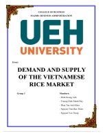 (TIỂU LUẬN) demand and supply of the vietnamese rice market 