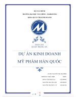 (TIỂU LUẬN) báo cáo QUẢN TRỊ dự án dự án KINH DOANH mỹ PHẨM hàn QU c 