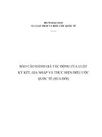 (TIỂU LUẬN) báo cáo ĐÁNH GIÁ tác ĐỘNG của LUẬT ký kết, GIA NHẬP và THỰC HIỆN điều ước QUỐC tế (sửa đổi) 