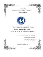 (TIỂU LUẬN) PHÂN TÍCH CHIẾN lược sản PHẨM mì ăn LIỀN hảo hảo THUỘC CÔNG TY cổ PHẦN ACECOOK VIỆT NAM 