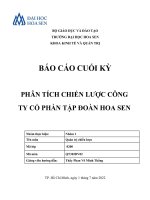 (TIỂU LUẬN) báo cáo CUỐI kỳ PHÂN TÍCH CHIẾN lược CÔNG TY cổ PHẦN tập đoàn HOA SEN 