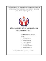 (TIỂU LUẬN) báo cáo THỰC HÀNH ĐÁNH GIÁ cảm QUAN bài 1 và bài 2  bài 1 NHỮNG điều KIỆN cơ bản bài 2 các PHÉP THỬ HUẤN LUYỆN cảm GIÁC 